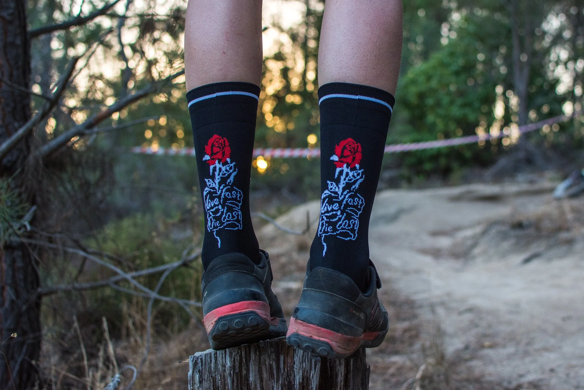 Charger socks - Red Rose