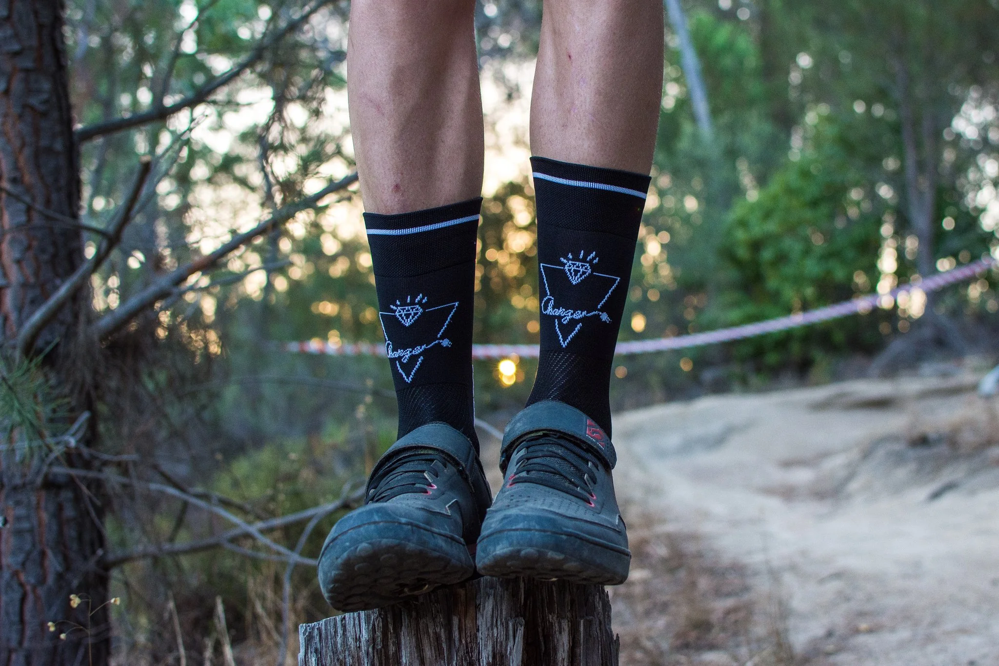 Charger socks - Red Rose - Image 2
